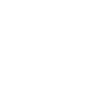 choose language